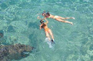 Read more about the article Galapagos Islands Cruise Handbook