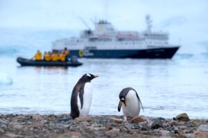 Read more about the article Sailing to the End of the Earth: What to Know Before Your First Cruise to Antarctica